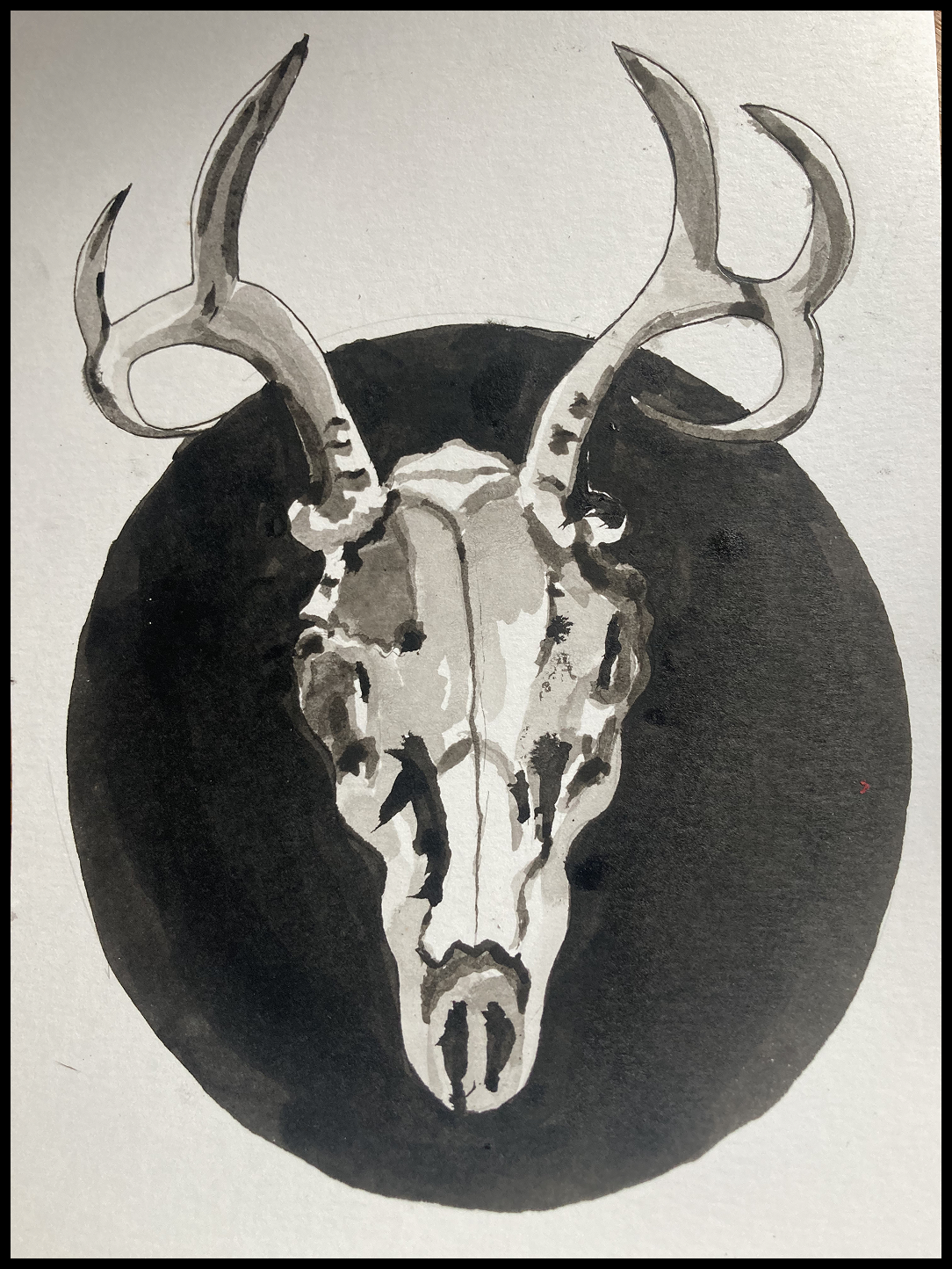 Horns India-Ink 6.75inx4.5in
